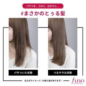 fino jp 20220311 p 2791443926277369225 2 2791443921739155366 SHISEIDO FINO Premium Touch Hair Mask