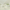 BEAUTY OF JOSEON - Calming Serum Green Tea + Panthenol - 30ml