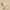 imgi 15 5 bf64b571 e5e6 4a90 b6fe K-SECRET SEOUL 1988 Cream
