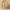 imgi 18 2 7769159b 8a77 405f 942e SEOUL 1988 Cream