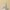 imgi 18 3 d4ded24a fe0e 4805 bf8f K-SECRET SEOUL 1988 Cream