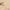 imgi 19 4 494436f1 4365 471b 8105 K-SECRET SEOUL 1988 Cream