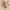 imgi 9 rn image picker lib temp e007b306 a93c 4227 bc87 c0792e2a7adc KSECRET SEOUL 1988 Serum